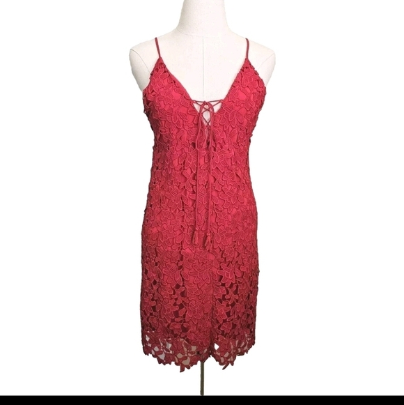 TJD The Jetset Small Red Lace Sexy Bodycon Open Back Party Prom Evening Dress - Picture 1 of 15